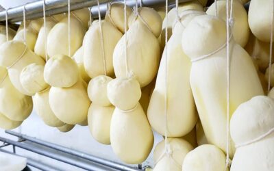 Butirro: l’antico latticino calabrese di pasta filata