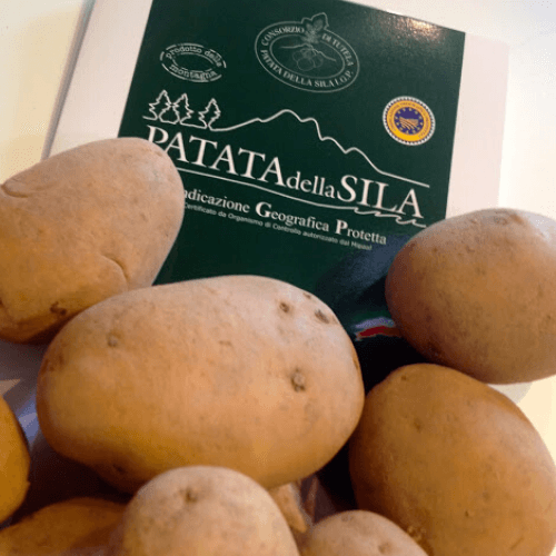 Patata della Sila Igp Buccia Gialla- prodotto di Montagna - immagine 3