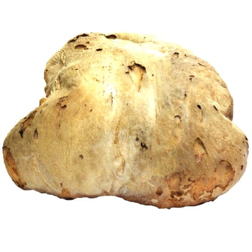 Pane di Cerchiara 3 Kg