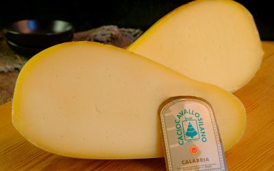 Formaggi a latte crudo: un tesoro da gustare con cautela