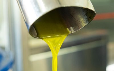 La Produzione di Olio in Italia: Un Viaggio nella Tradizione