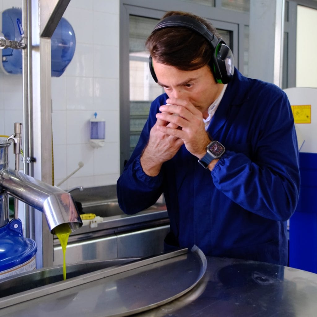 Il frantoio: cos'è, come funziona e come nasce davvero l'olio extravergine