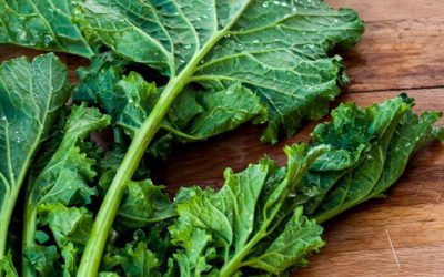 Orecchiette alle Cime di Rapa con Olio Evo Bio Nuovo