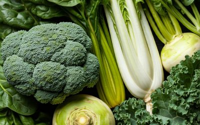 I Tesori dell’Autunno: Verdure di Stagione e i Loro Benefici