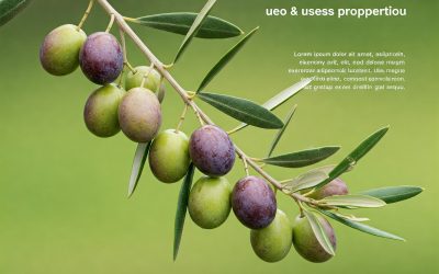 Oleuropeina: Benefici, Uso e Proprietà Antiossidanti